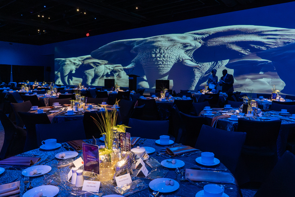 EcoTarium Museum of Science and Nature