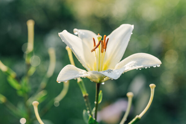 Elsa Judkins Photography