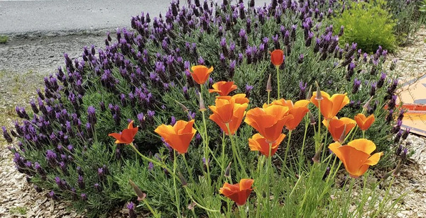 Samm Valley Event Venue