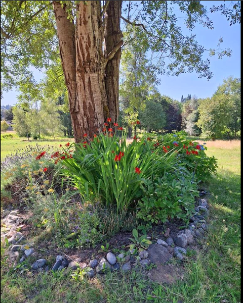 Samm Valley Event Venue