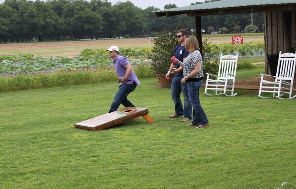 Lane Southern Orchards