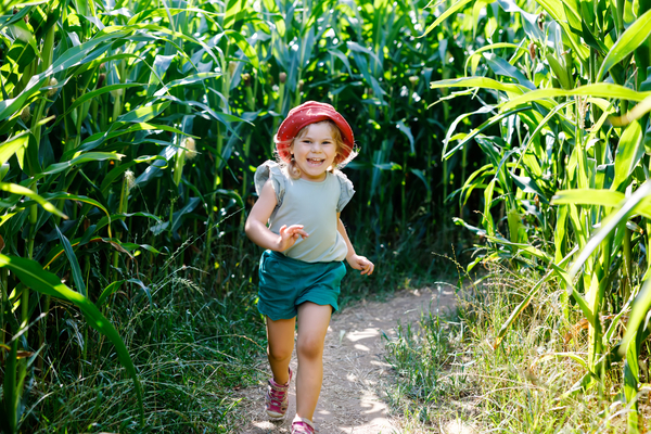 Lane Southern Orchards