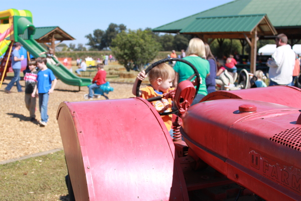 Lane Southern Orchards