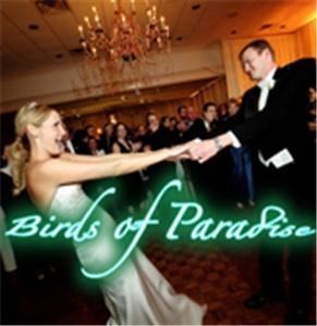 Pink Flamingo Productions