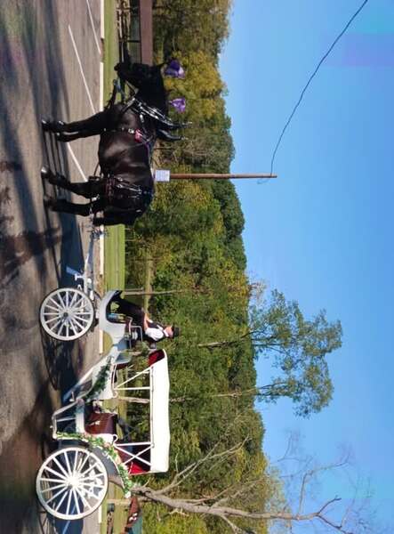 Horsing Round Carriage Service