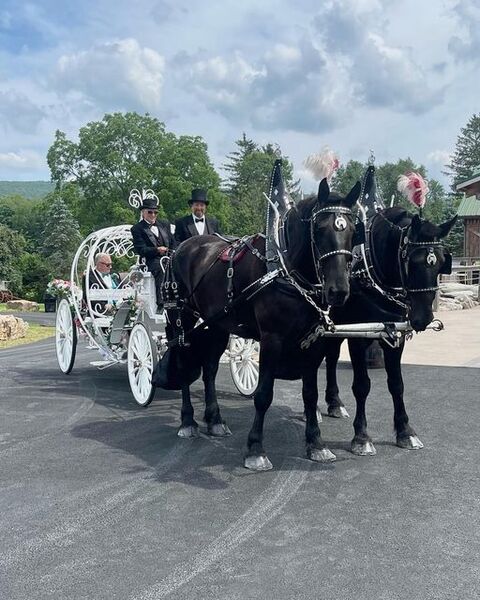 Horsing Round Carriage Service
