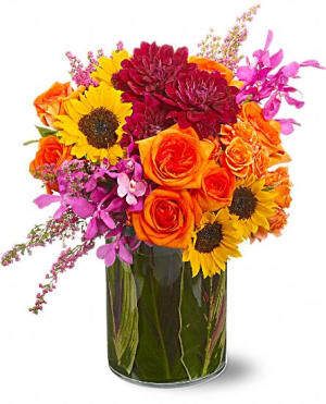 Spencer's Designer Florist, Gifts & Arrangements