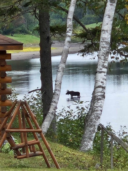 Cottage Rentals Miramichi