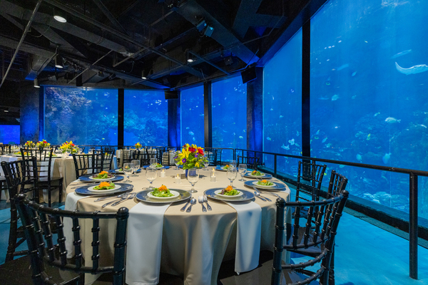 SeaWorld San Antonio