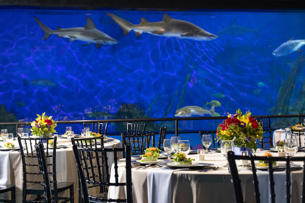 SeaWorld San Antonio