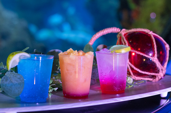 SeaWorld San Antonio