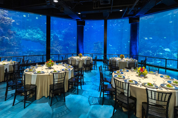 SeaWorld San Antonio