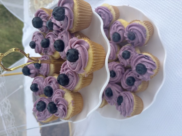 Roam Coffee & Bakery