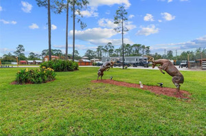 Open Green Areas & Event Grounds