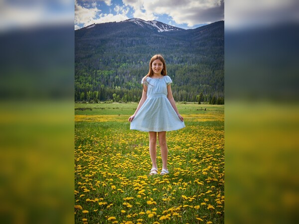 Steven Willis Photography