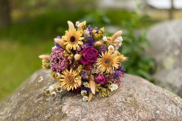 Harvest Hill Flower Farm