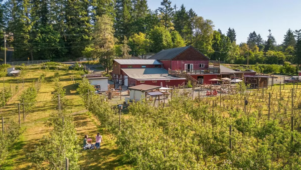 Junction Orchard and Cidery