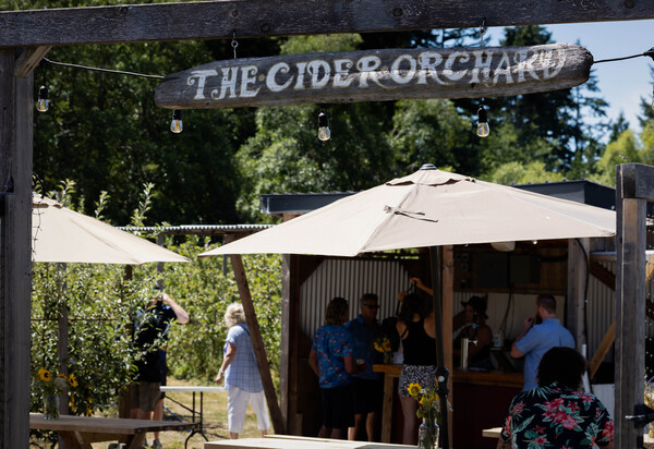 Junction Orchard and Cidery