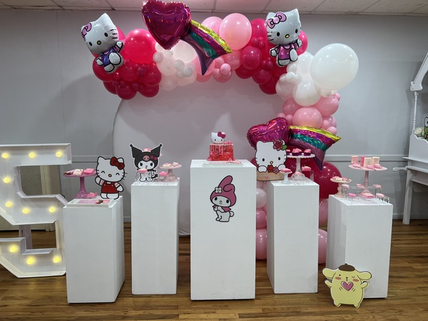 Party Solvers Party Room