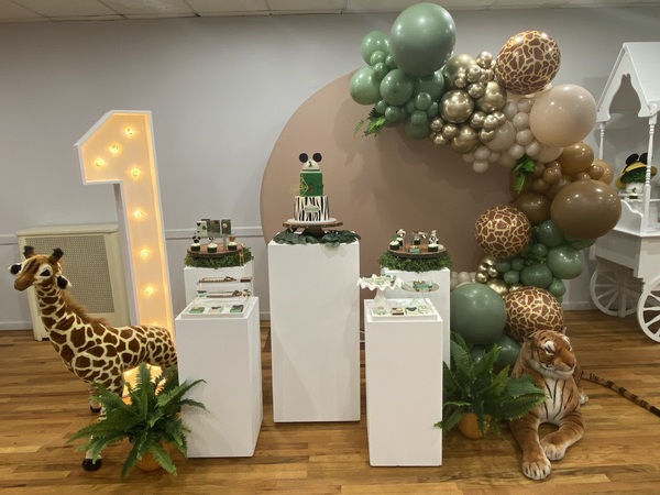 Party Solvers Party Room