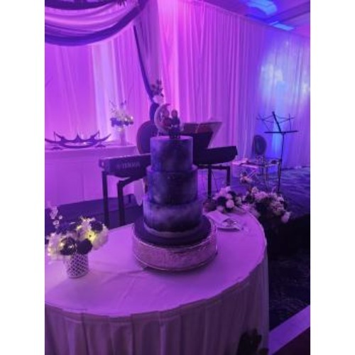 Nth Degree Entertainment Group