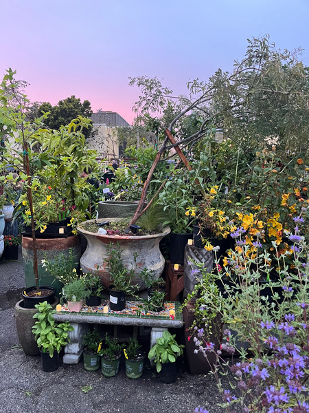 Merrihew's Sunset Gardens