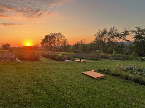 Autumn's Fresh Cut Flowers
