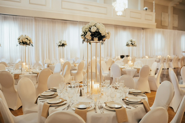 Dalmatian-American Club