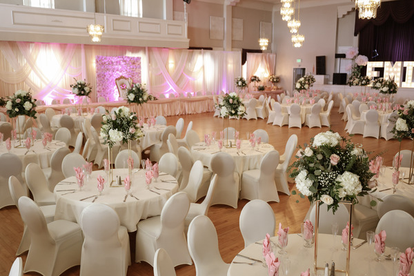 Dalmatian-American Club