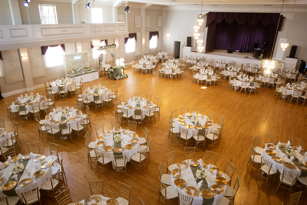 Dalmatian-American Club