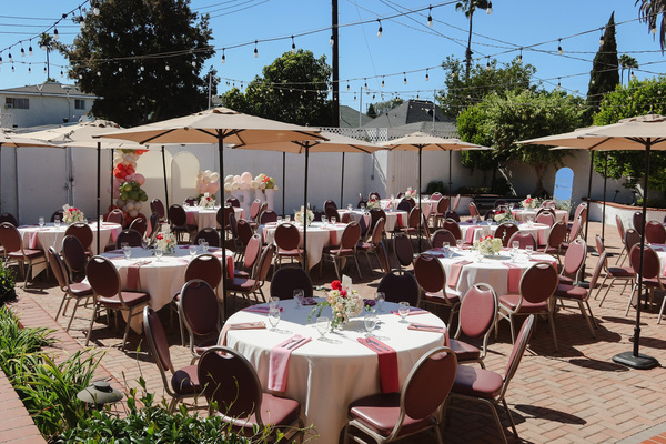 Dalmatian-American Club