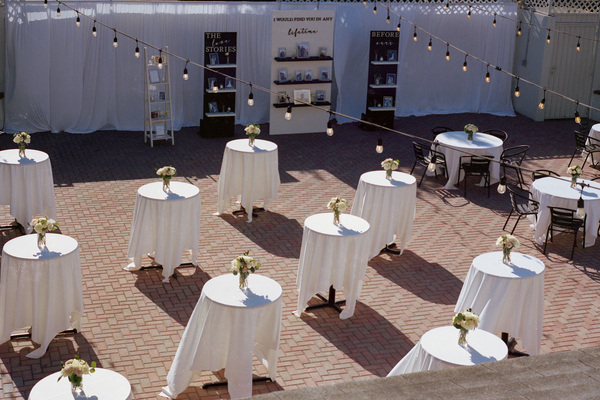 Dalmatian-American Club