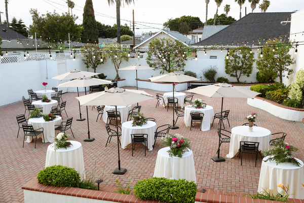 Dalmatian-American Club