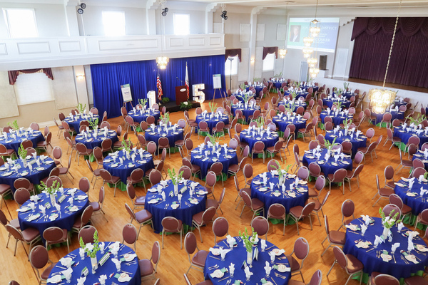 Dalmatian-American Club