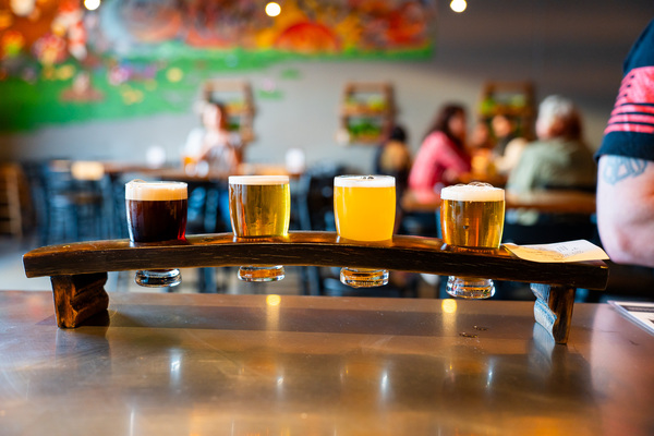 Mother Earth Brewing Company