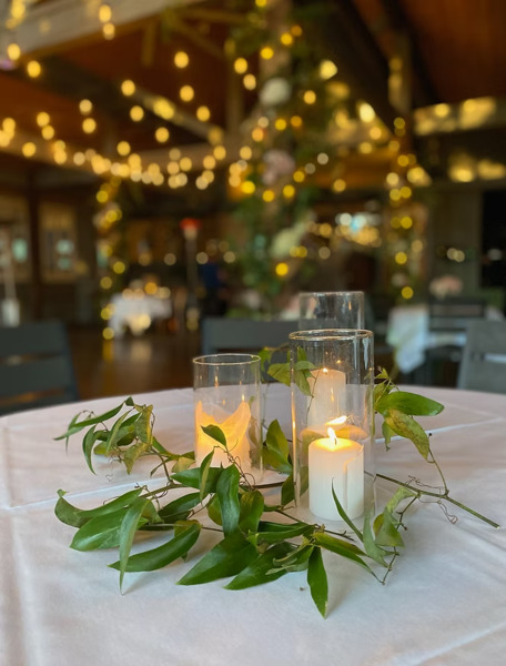 Palmettos on the Bayou