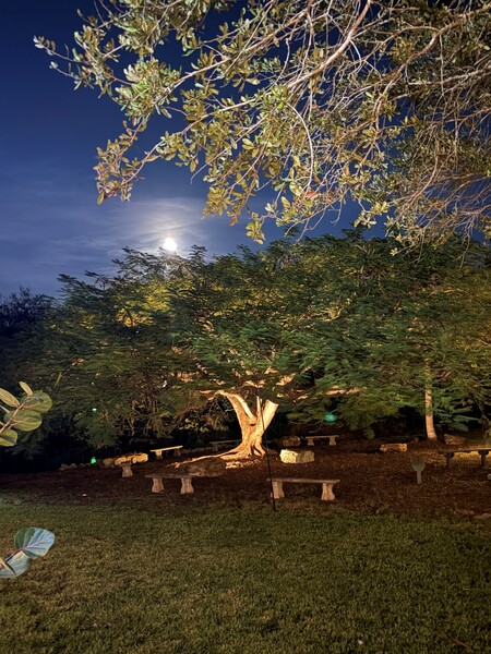 Pinecrest Riverside Venue