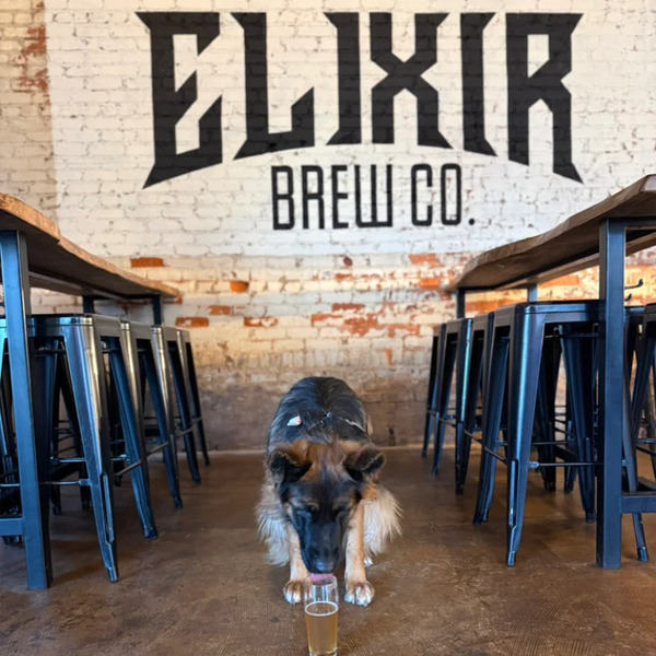 Elixir Brew Co