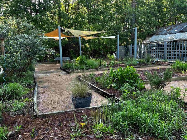 Crosby Arboretum MSU Extension