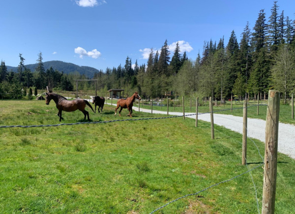 Cascade Creek Ranch
