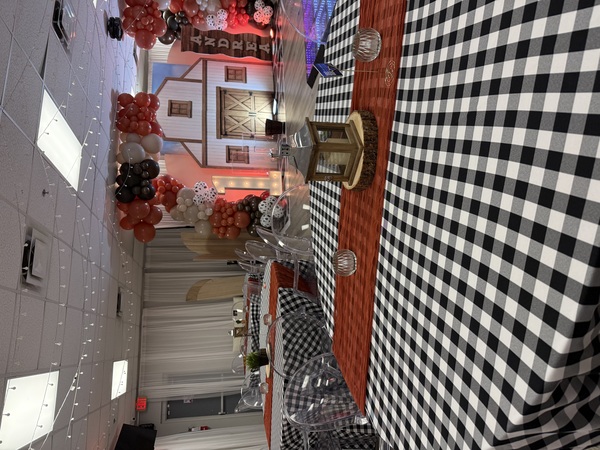 Party Balloons Entertainment INC