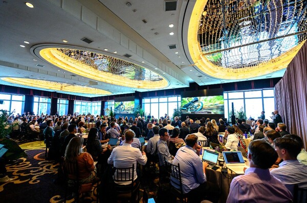 Dagomatic Photography