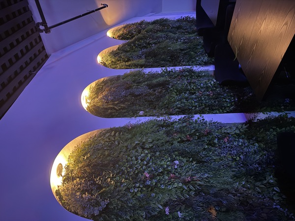 Skyvibe Restaurant & Lounge