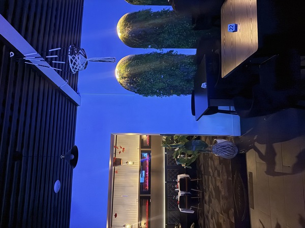 Skyvibe Restaurant & Lounge