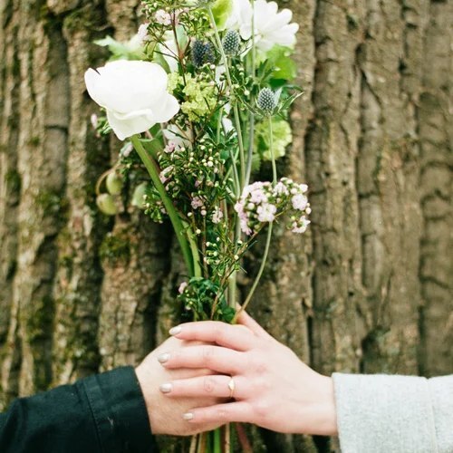 Our Forest Oasis at Dark Heart of the Grove