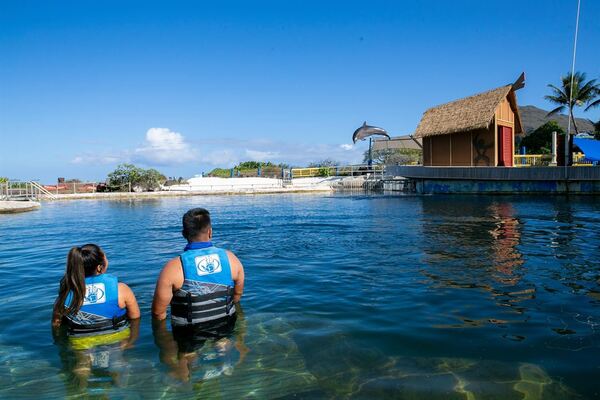 Sea Life Park Hawaii