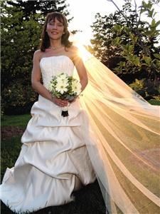 Peterson Photography -Northwest Ohio