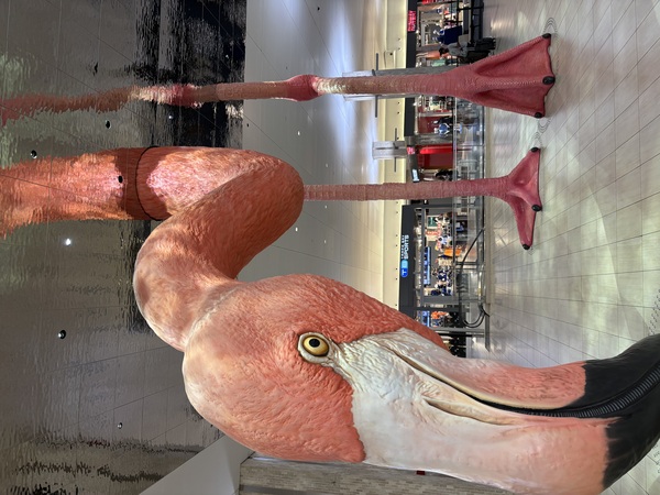 Longboat Key Limo and Taxi