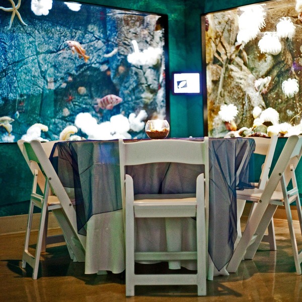 Shaw Centre for the Salish Sea