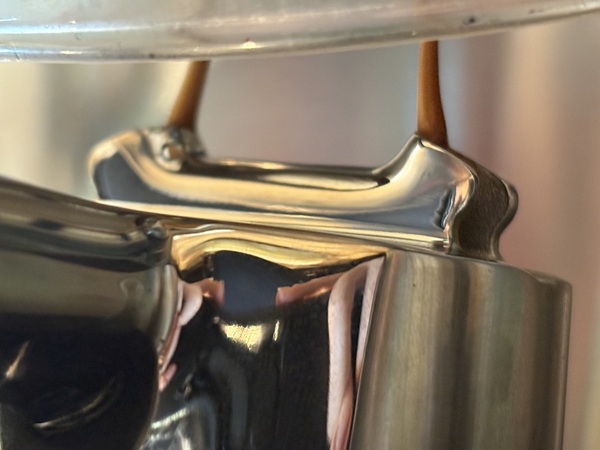 Daytona Beach Caffeine